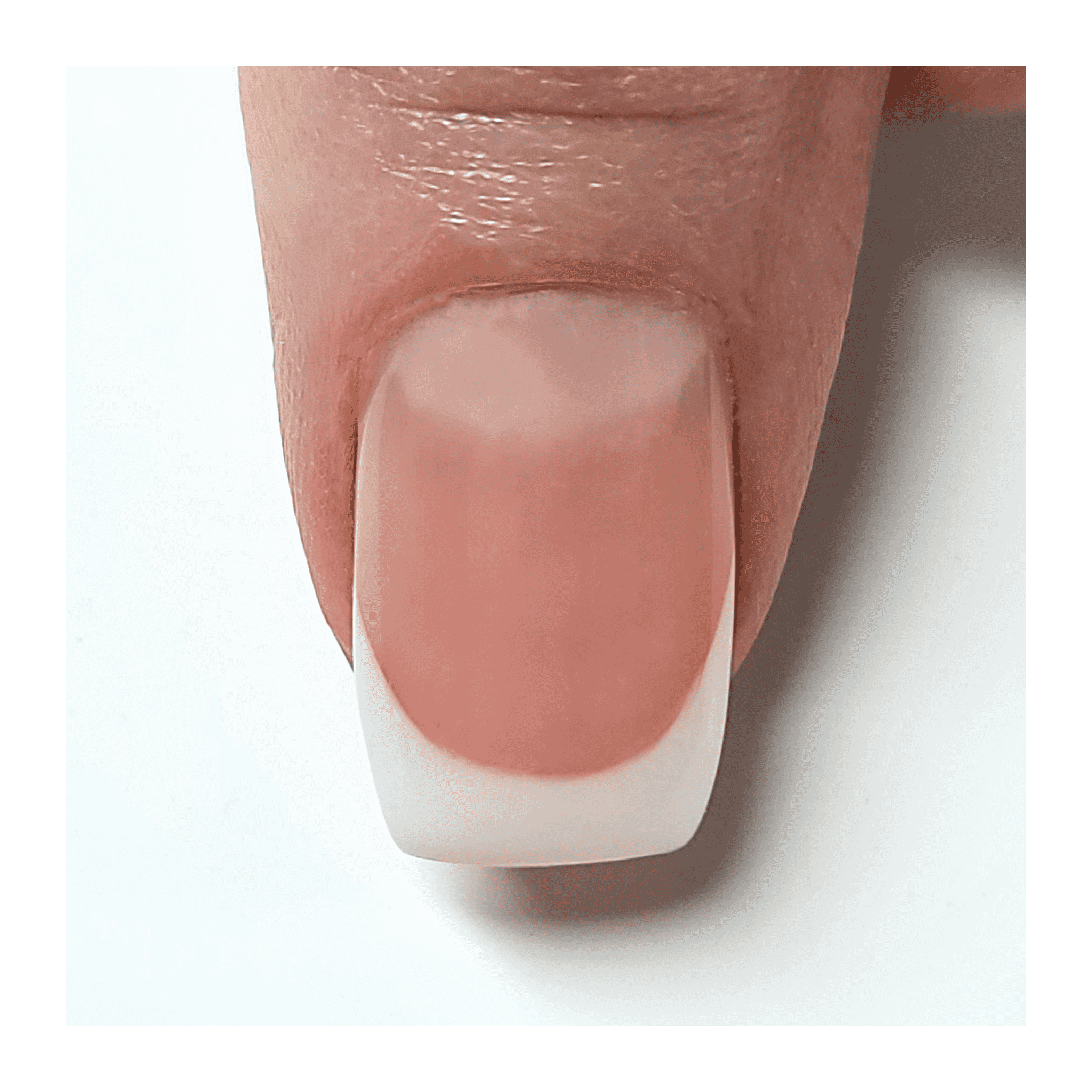 French Pink .5oz