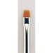Scrub Brush